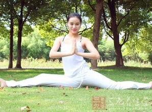 合一瑜伽在线视频播放,轻松入门，享受身心灵和谐之旅